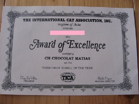 �\�}������O�ʓ���